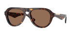 300273 - Dark Havana / Dark Brown
