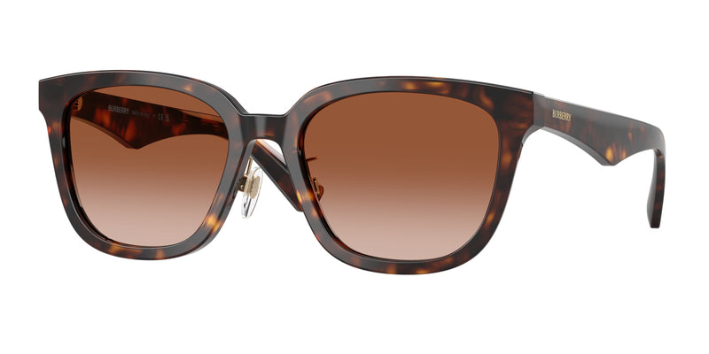 300213 - Dark Havana / Brown Gradient