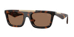 300273 - Dark Havana / Dark Brown