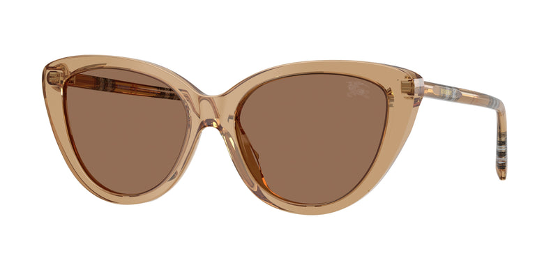 416473 - Beige / Dark Brown