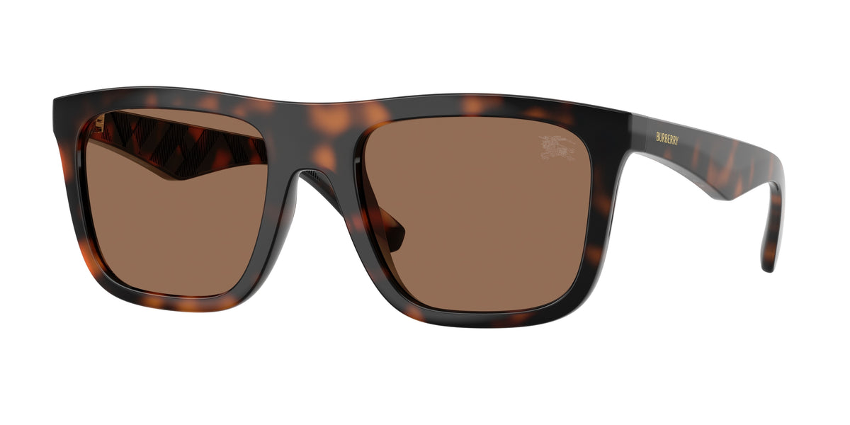 300273 - Dark Havana / Dark Brown