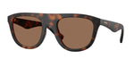 353673 - Matte Dark Havana / Dark Brown