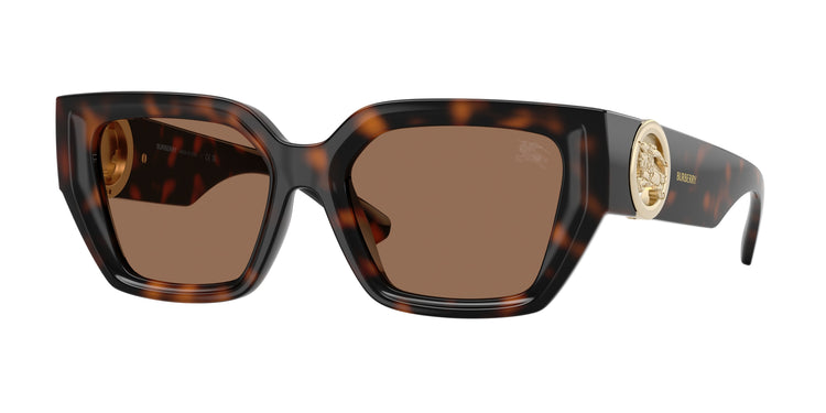 300273 - Dark Havana / Dark Brown