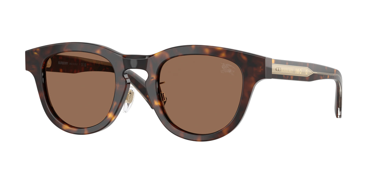 420573 - Dark Havana / Dark Brown