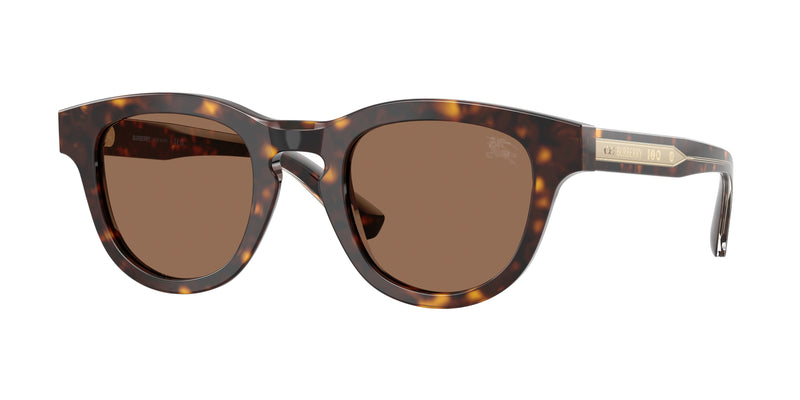 420573 - Dark Havana / Dark Brown