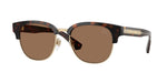 420573 - Dark Havana / Dark Brown