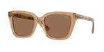 416473 - Beige / Dark Brown