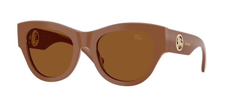 422273 - Brown / Dark Brown