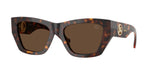 300273 - Dark Havana / Dark Brown