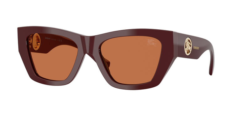 411973 - Bordeaux / Brown