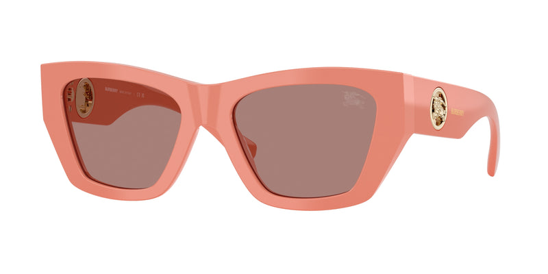 421973 - Pink / Light Brown
