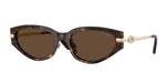 300273 - Dark Havana / Dark Brown