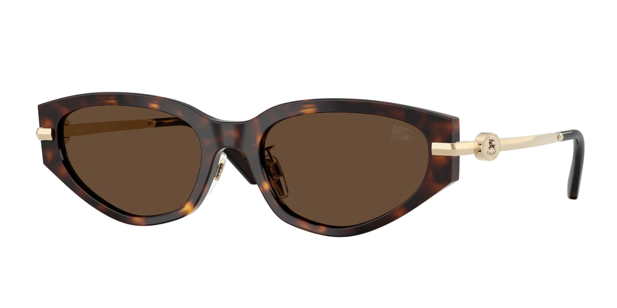 300273 - Dark Havana / Dark Brown