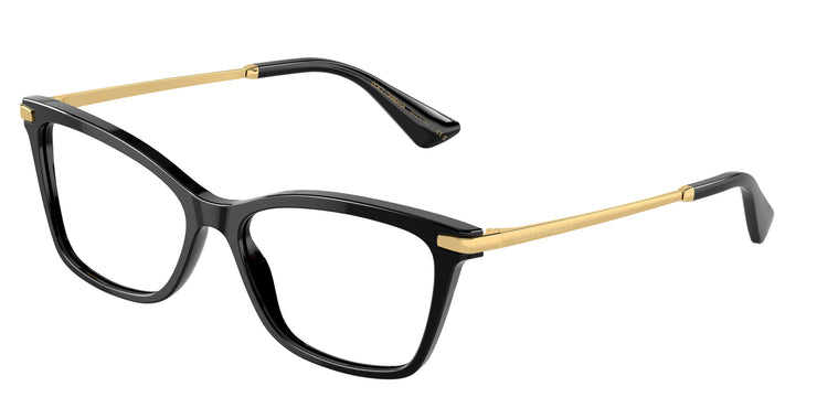 Dolce&Gabbana 0DG3393