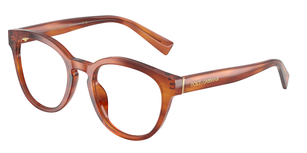 Dolce&Gabbana 0DG3421