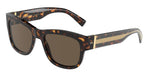 502/73 - Havana / Dark Brown