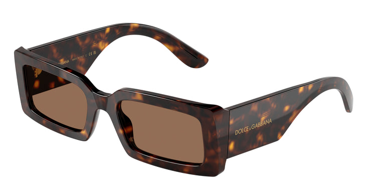 193573 - Havana / Dark Brown