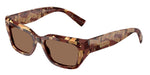 346273 - Pearl Havana Brown / Dark Brown