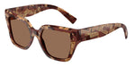 346273 - Pearl Havana Brown / Dark Brown