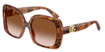 338013 - Havana Leo / Brown Gradient