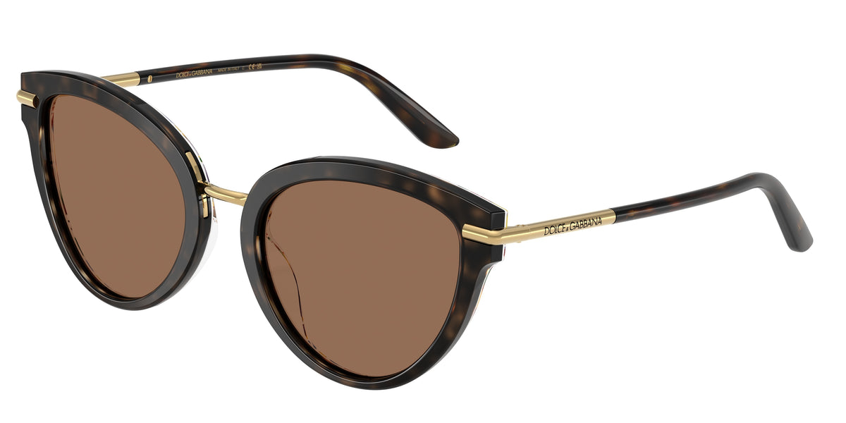 321713 - Havana On White Barrow / Dark Brown