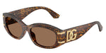 347073 - Leo Transparent / Dark Brown