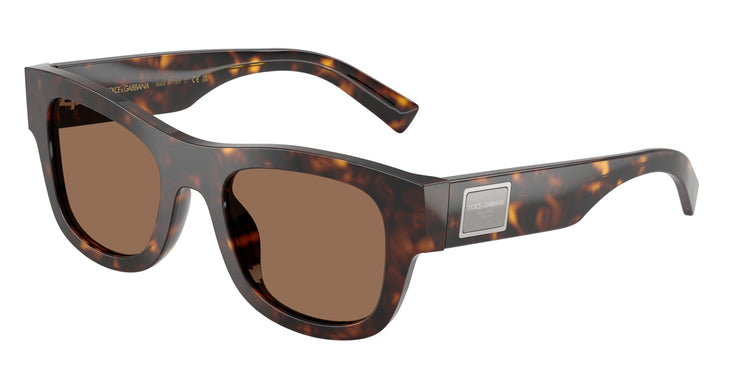Dolce&Gabbana 0DG4509