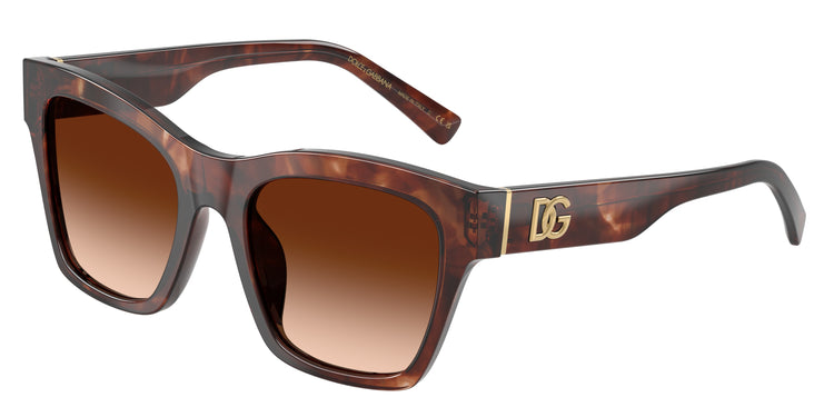 322274 - Dark Red Havana / Brown Gradient