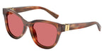 322175 - Striped Brown / Red