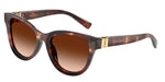 322274 - Dark Red Havana / Brown Gradient