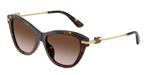 502/13 - Havana / Light Brown Gradient Dark Brow