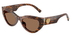 347073 - Leo Transparent / Dark Brown