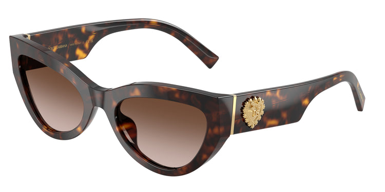 502/13 - Havana / Gradient Brown