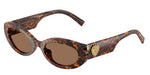 347073 - Leo Transparent / Dark Brown