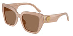 304273 - Opal Brown / Dark Brown