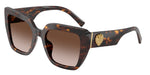 502/13 - Havana / Gradient Brown
