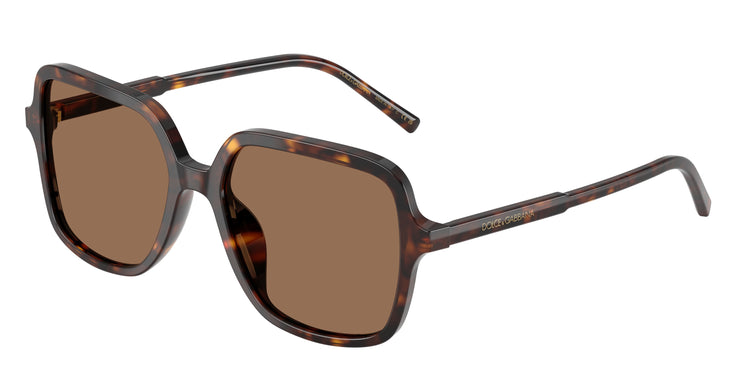 502/73 - Havana / Dark Brown