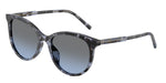 34438F - Blue Havana / Blue Gradient