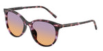 3477EL - Violet Havana / Orange/Violet