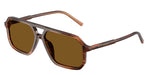 348183 - Brown On Striped Brown / Dark Brown Polarized