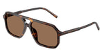 502/73 - Havana / Dark Brown