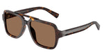 502/73 - Havana / Dark Brown