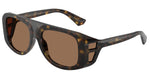 502/73 - Havana / Dark Brown