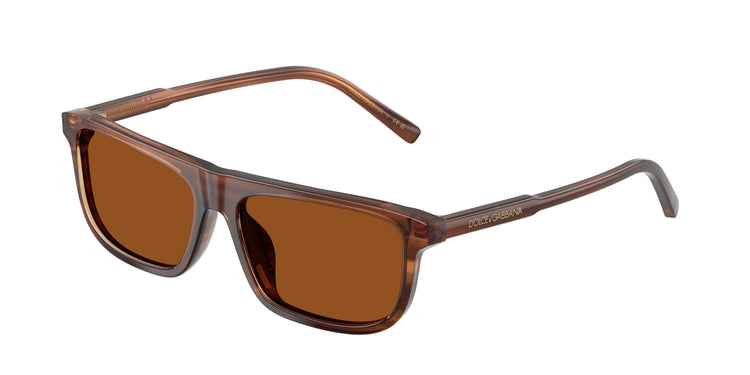348173 - Transparent Brown/Striped Brown / Dark Brown