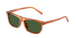 348371 - Transparent Camel/Striped Ginger / Dark Green