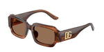 348173 - Transparent Brown/Striped Brown / Dark Brown