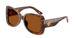 347073 - Leo Transparent / Dark Brown