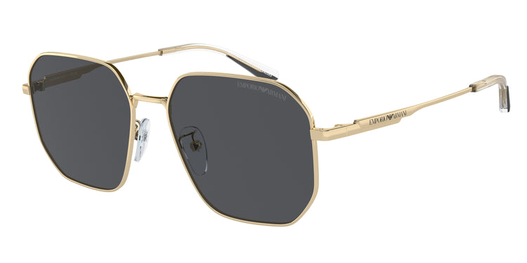 301387 - Shiny Pale Gold / Dark Grey