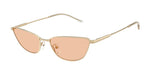 301393 - Shiny Pale Gold / Brown