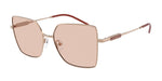 301173 - Shiny Rose Gold / Light Brown